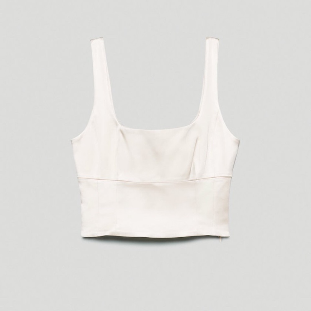Aritzia Shine Bustier